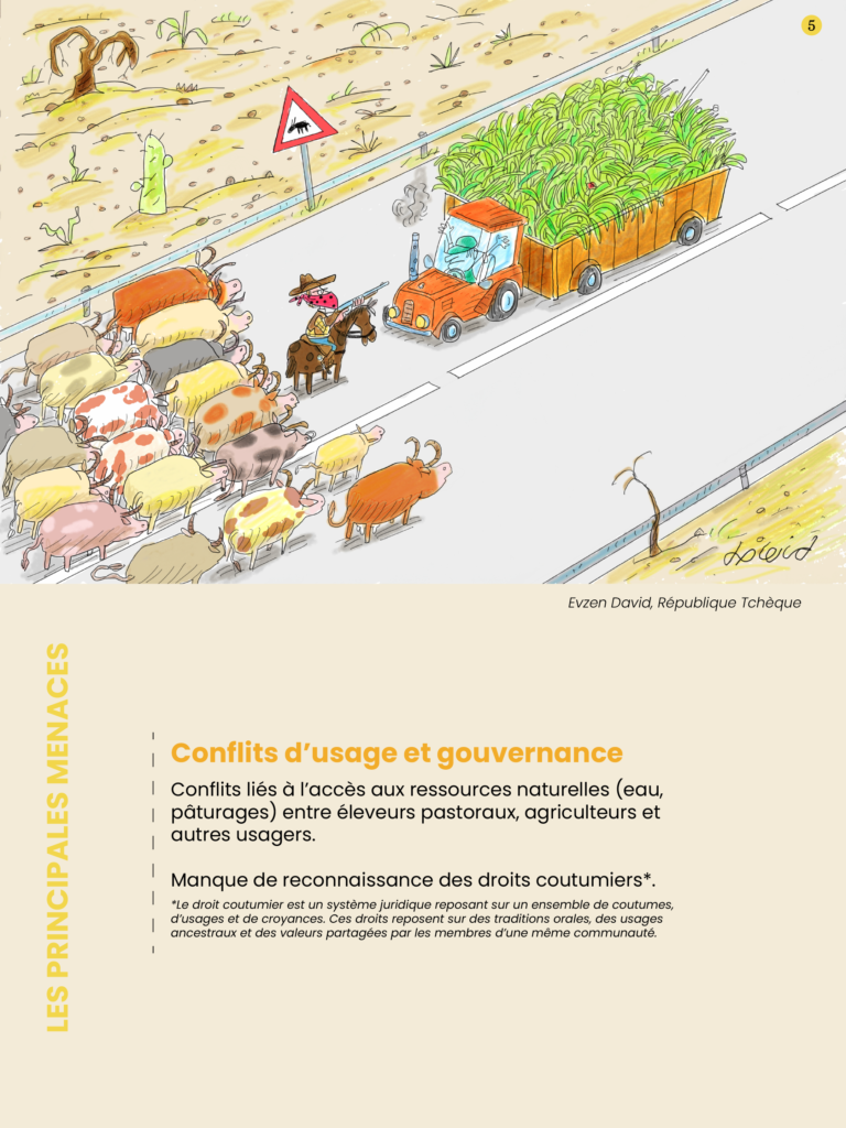 VF.visuel_pastoPlan de travail 4 copie@3x